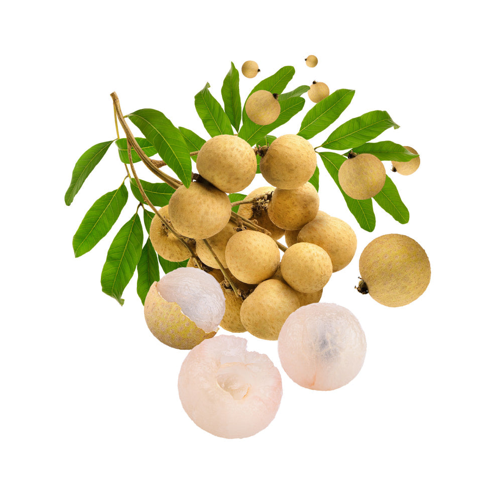 Longan With Leaves Isolated Alpha Layer