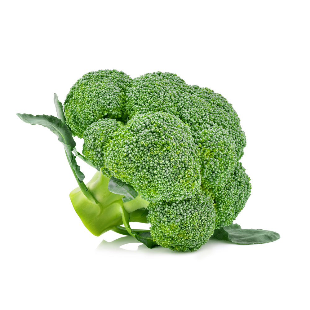 Broccoli Isolated
