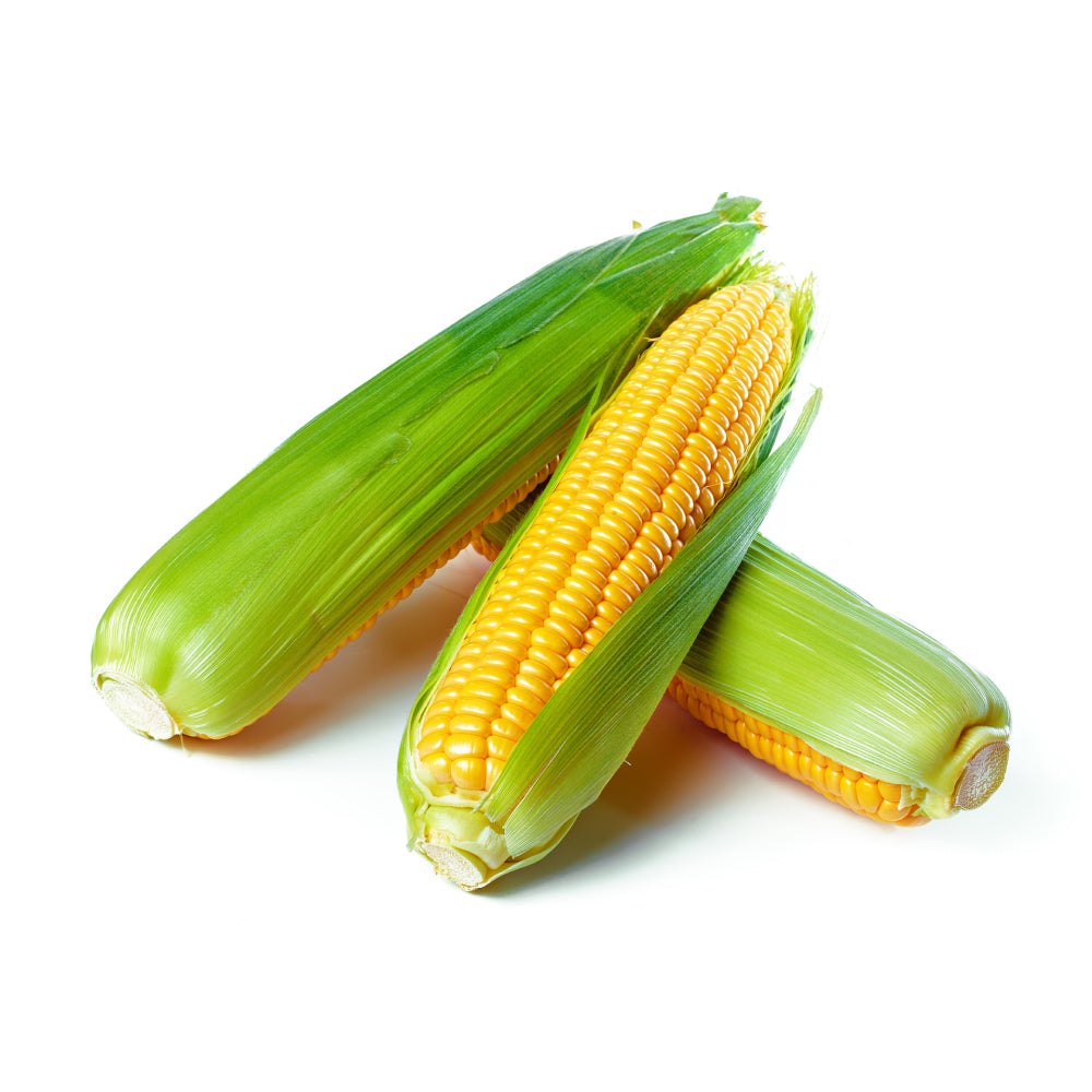 Sweet Corn Isolated Alpha Layer