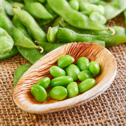 Snow Peas Isolated