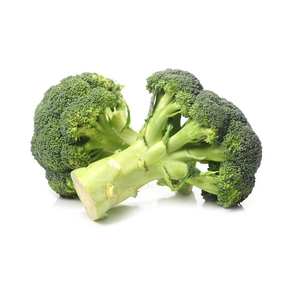 Broccoli Isolated