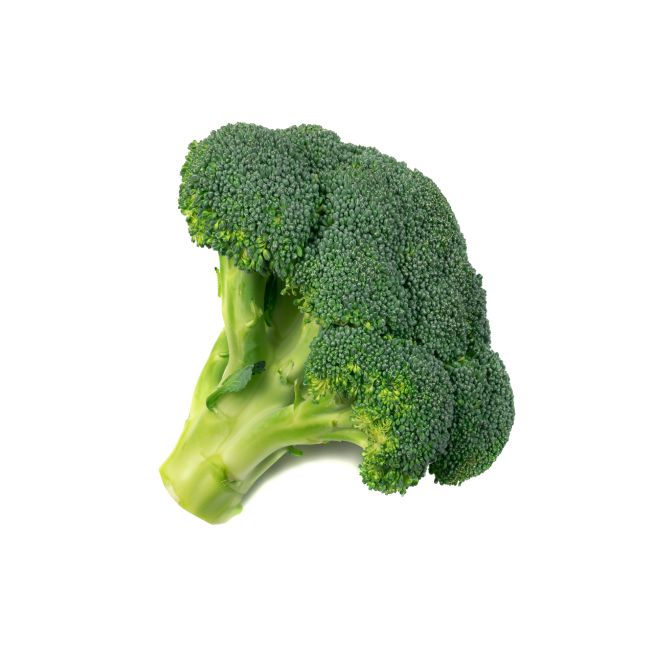 Fresh broccoli floret isolated