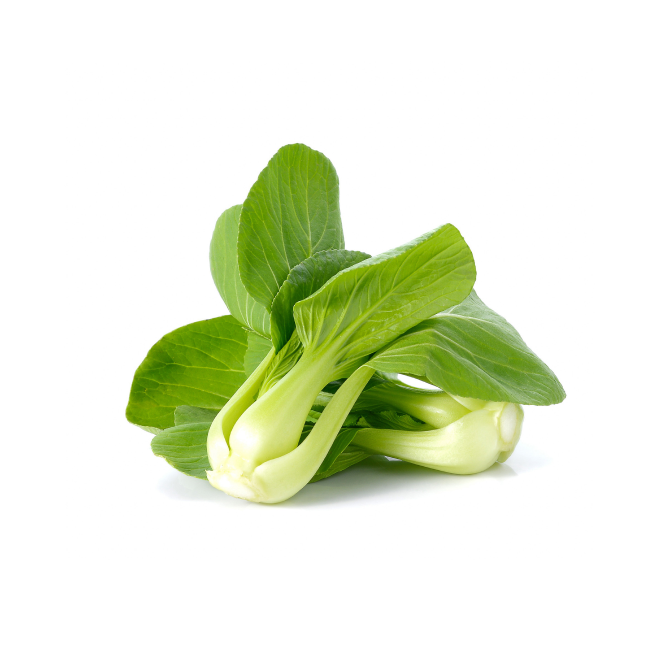 Fresh broccoli floret isolated