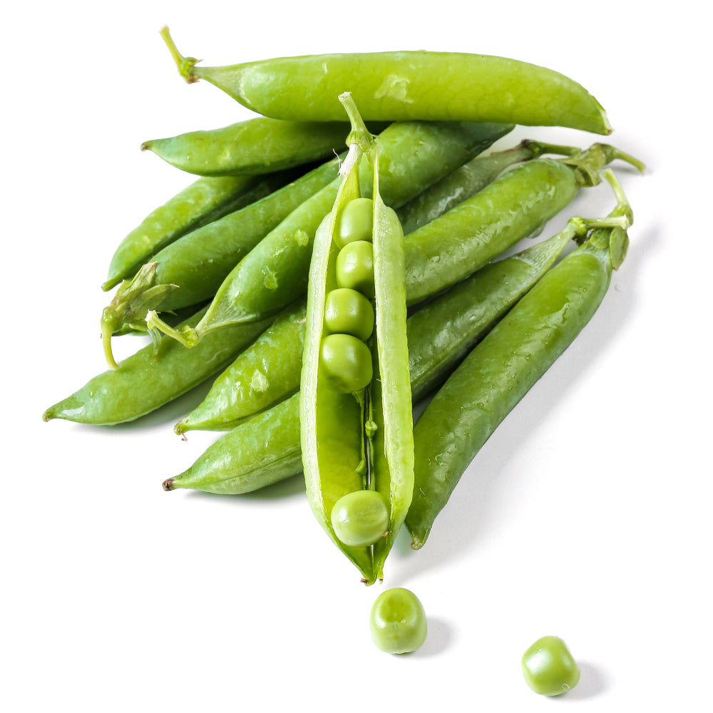 Snow Peas Isolated