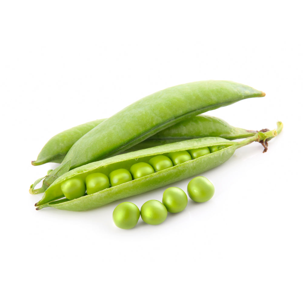 Snow Peas Isolated