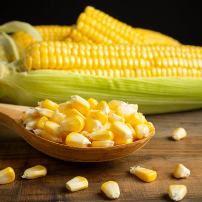 Sweet Corn Isolated Alpha Layer