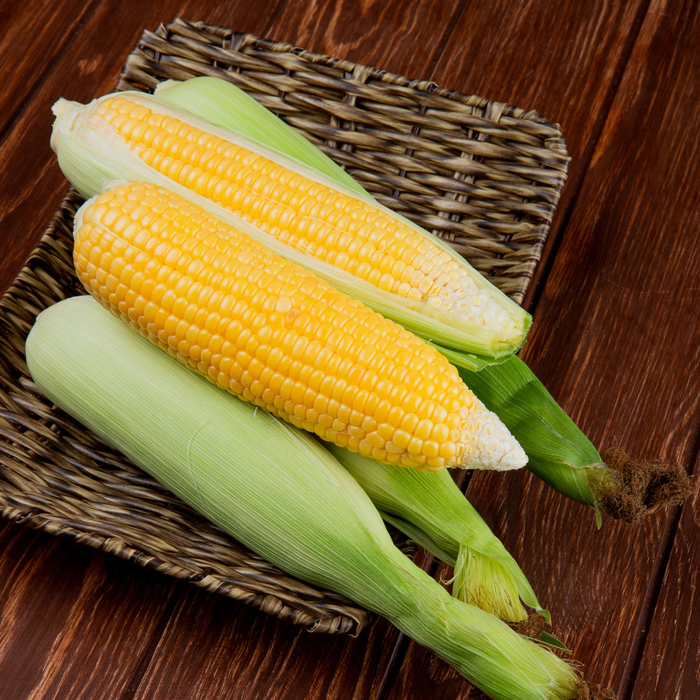 Sweet Corn Isolated Alpha Layer