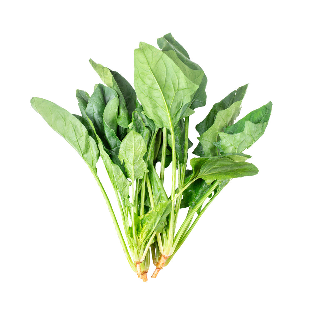 Spinach Leaves Isolated