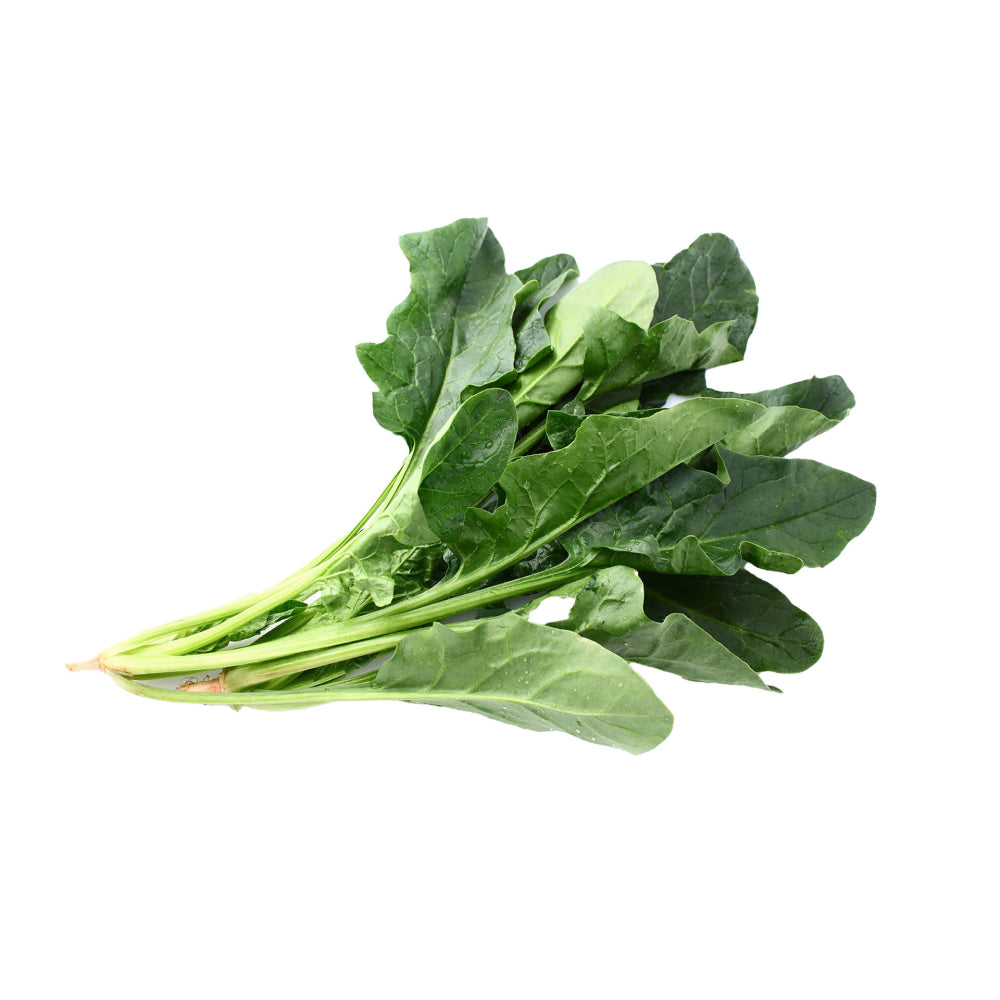 Spinach Leaves Isolated