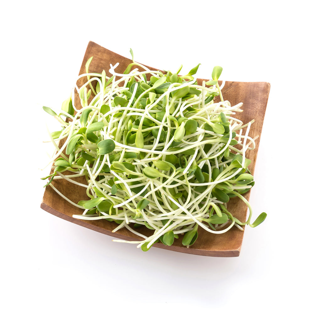Heap Alfalfa Sprouts