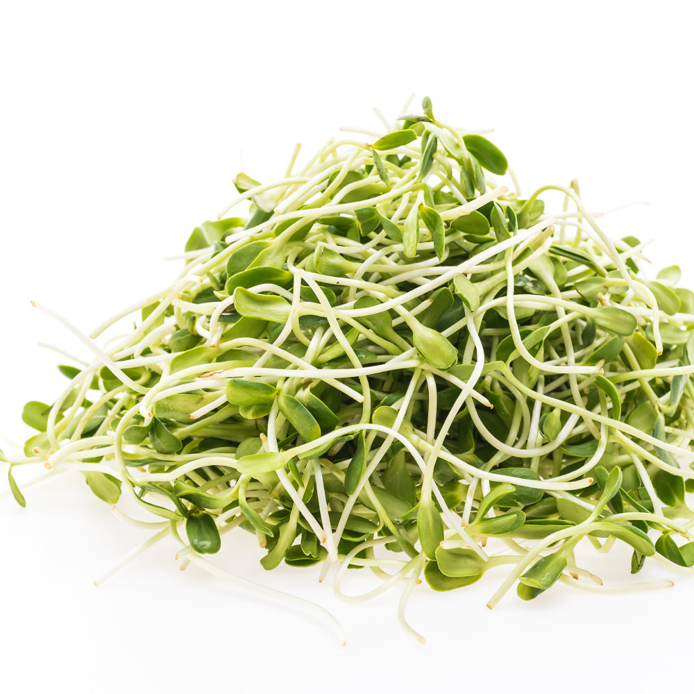 Heap Alfalfa Sprouts